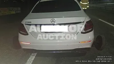 2019, Mercedes-Benz / e300, VIN: WDDZF4JB4KA536840, 94866 км., gas