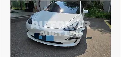 2021, Tesla / Model 3, 123208 км., electric, 236 куб.см.
