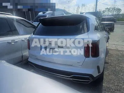 2023, Kia / Sorento, 52000 км., hybrid, 1600 куб.см.