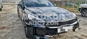 2018, Kia / Stinger, VIN: KNAE351ABJS003648, 66857 км., gas, 3342 куб.см.