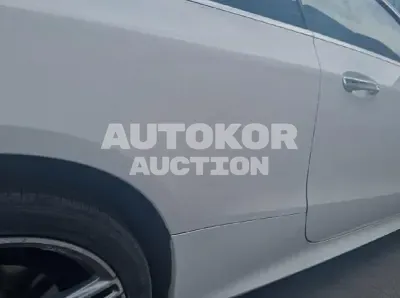 2019, Mercedes-Benz / E 220, VIN: WDD1J1EBXKF072864, 86094 км., diesel