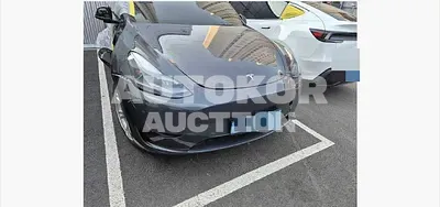 2023, Tesla / Model Y, 31300 км., electric, 173 куб.см.
