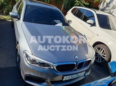 2020, BMW / 520, VIN: WBAJF5105LWW55090, diesel, 1995 куб.см.