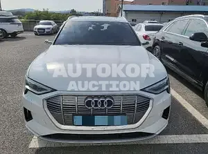 2020, Audi / e-tron, VIN: WAUZZZGE7LB030394, 114350 км., electric