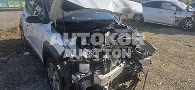 2019, Hyundai / Kona, VIN: KMHK381GFKU024918, 160406 км., electric