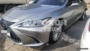 2021, Lexus / ES 300, VIN: JTHBA1C18N2008731, 9600 км., hybrid