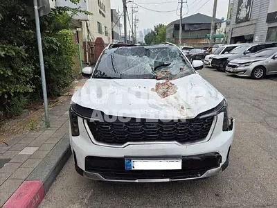 2025, Kia / Sorento, VIN: KNARM81FGTA383797, gas, 2497 куб.см.