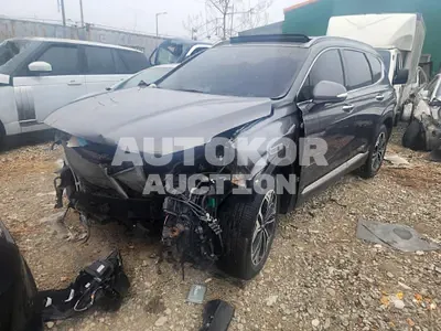 2019, Hyundai / Santa FE, VIN: KMHS381ABKU150810, gas
