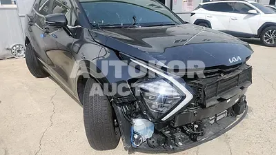 2024, Kia / Sportage, VIN: KNAPW81GBRK189461, 22549 км., hybrid