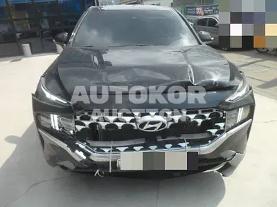 2020, Hyundai / Santa FE, VIN: KMHS281HGMU328317, 74766 км., diesel, 2200 куб.см.
