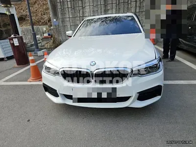 2019, BMW / 530, gas