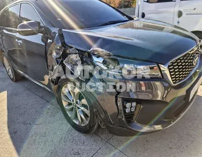 2019, Kia / Sorento, VIN: KNAPG81ABKA524613, diesel
