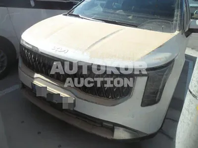 2024, Kia / Carnival, VIN: KNANC81BBSS512058, diesel, 2200 куб.см.