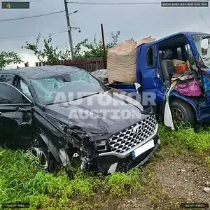 2020, Hyundai / Santa FE, VIN: KMHS281HGMU323577, diesel