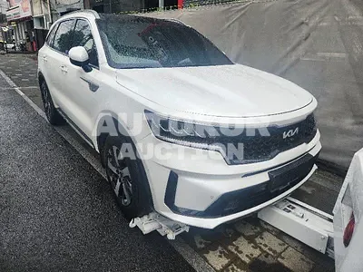 2022, Kia / Sorento, VIN: KNARF81FGNA157480, 87306 км., gas