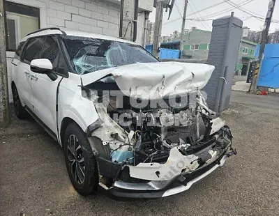 2021, Kia / Carnival, VIN: KNANC81BBMS017347, diesel