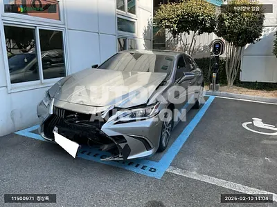 2019, Lexus / ES 300, VIN: JTHB21B11K2047798, hybrid