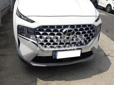 2021, Hyundai / Santa FE, VIN: KMHS281HGMU356746, diesel