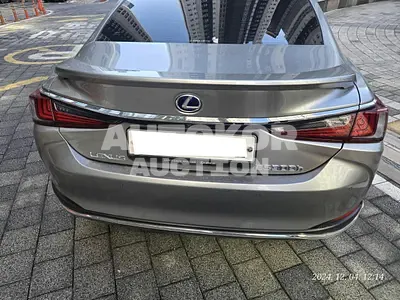 2020, Lexus / ES 300, VIN: JTHBA1C16M2000982, hybrid