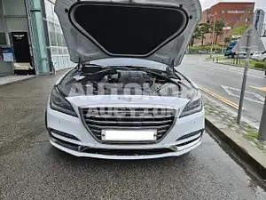 2017, Genesis / G80, VIN: KMHGM41DDHU219440, gas