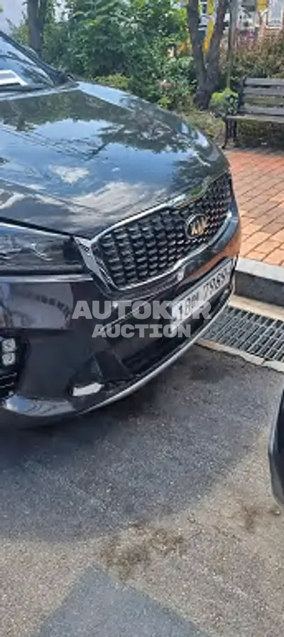 2019, Kia / Sorento, VIN: KNAPH81ABKA547067, diesel