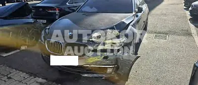 2015, BMW / 750, 205216 км., diesel
