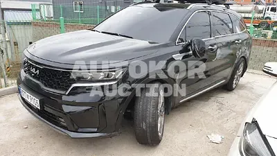 2022, Kia / Sorento, VIN: KNARF81BHNA125531, diesel