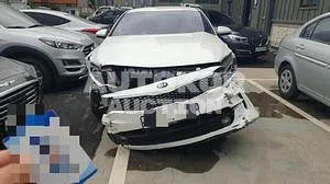 2016, Kia / K5, VIN: KNAGS416BHA136475, 167316 км., lpg