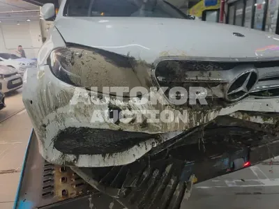 2017, Mercedes-Benz / E 220, VIN: WDDZF0FBXHA233538, 106340 км., diesel