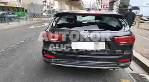 2018, Kia / Sorento, VIN: KNAPS81ABJA451251, 30000 км., diesel, 1995 куб.см.