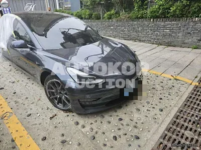 2021, Tesla / Model 3, 59617 км., electric