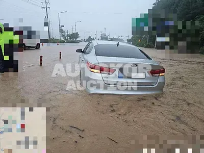 2015, BMW / B5, 120674 км., gas, 2000 куб.см.
