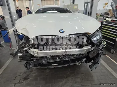 2025, BMW / m850i, gas