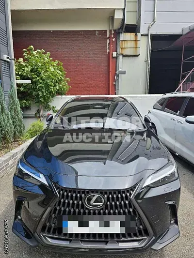 2024, Lexus / nx350h, 13969 км., hybrid