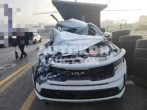 2023, Kia / Sorento, VIN: KNARK81GBPA167065, 50000 км., hybrid, 1598 куб.см.