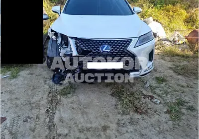 2022, Lexus / RX 450, VIN: JTJBGMCA1N2090803, 2000 км., hybrid