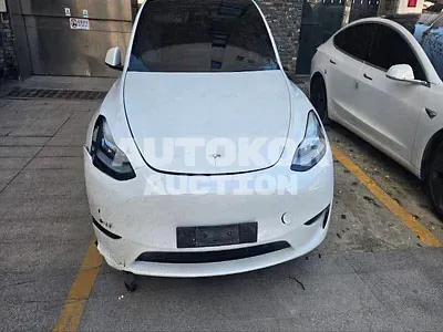 2022, Tesla / Model Y, VIN: 7SAYGDEE6NF568162, electric, 1 куб.см.