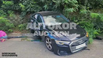 2020, Audi / A6, VIN: WAUZZZF29LN030872, 51429 км., diesel