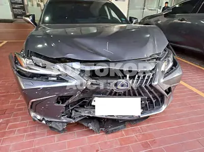 2022, Lexus / es300h, hybrid