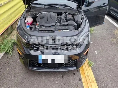 2024, BMW / B5, gas, 2000 куб.см.