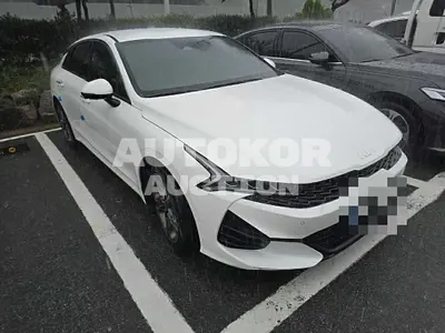 2023, BMW / B5, gas, 2000 куб.см.