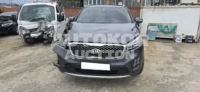 2016, Kia / Sorento, VIN: KNAPS81ABGA221347, 206268 км., diesel, 1995 куб.см.