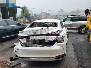 2019, Lexus / ES 300, hybrid