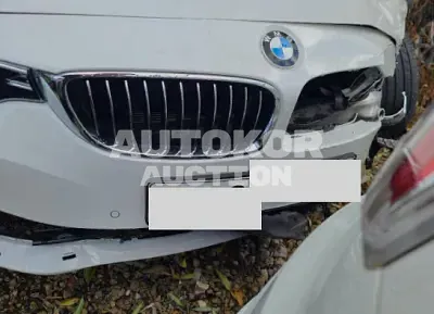 2019, BMW / 420, VIN: WBA4H3105KBM45655, 32340 км., gas