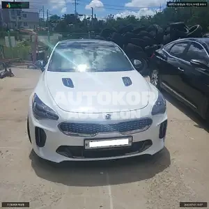 2017, Kia / Stinger, VIN: KNAE751CDJS004356, 46060 км., gas