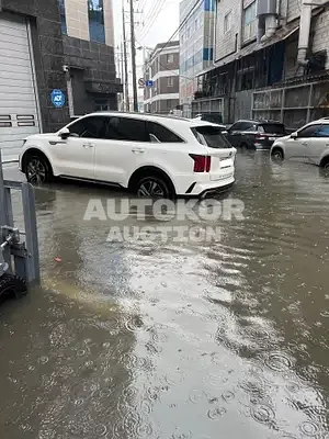 2020, Kia / Sorento, VIN: KNARM81GBMA016718, hybrid