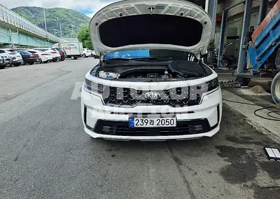 2021, Kia / Sorento, VIN: KNARF81BGMA031561, 107870 км., diesel