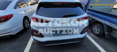 2019, Hyundai / Kona, VIN: KMHK381GFKU009309, 73170 км., electric