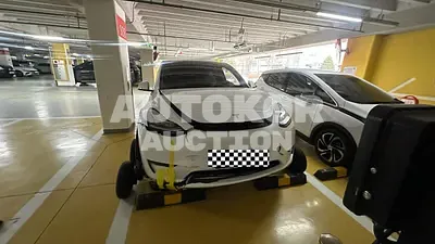 2023, Tesla / Model Y, VIN: 7SAYGDEE3NF566630, 84000 км., electric, 1 куб.см.