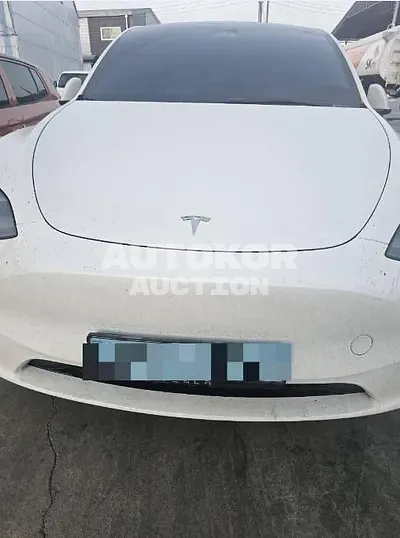2023, Tesla / Model Y, VIN: LRWYGCFS3RC159905, 43500 км., electric, 173 куб.см.